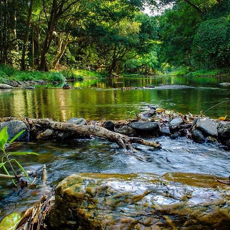 Cairns Homestead Redlynch Pet And Family Friendly Esterno foto