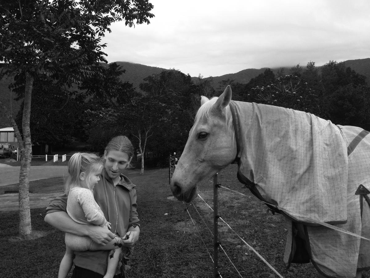 Cairns Homestead Redlynch Pet And Family Friendly Esterno foto