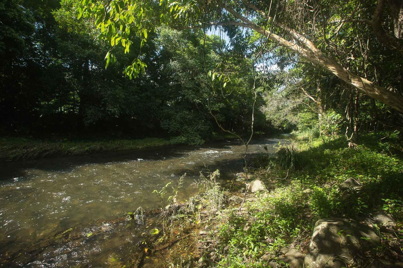 Cairns Homestead Redlynch Pet And Family Friendly Esterno foto