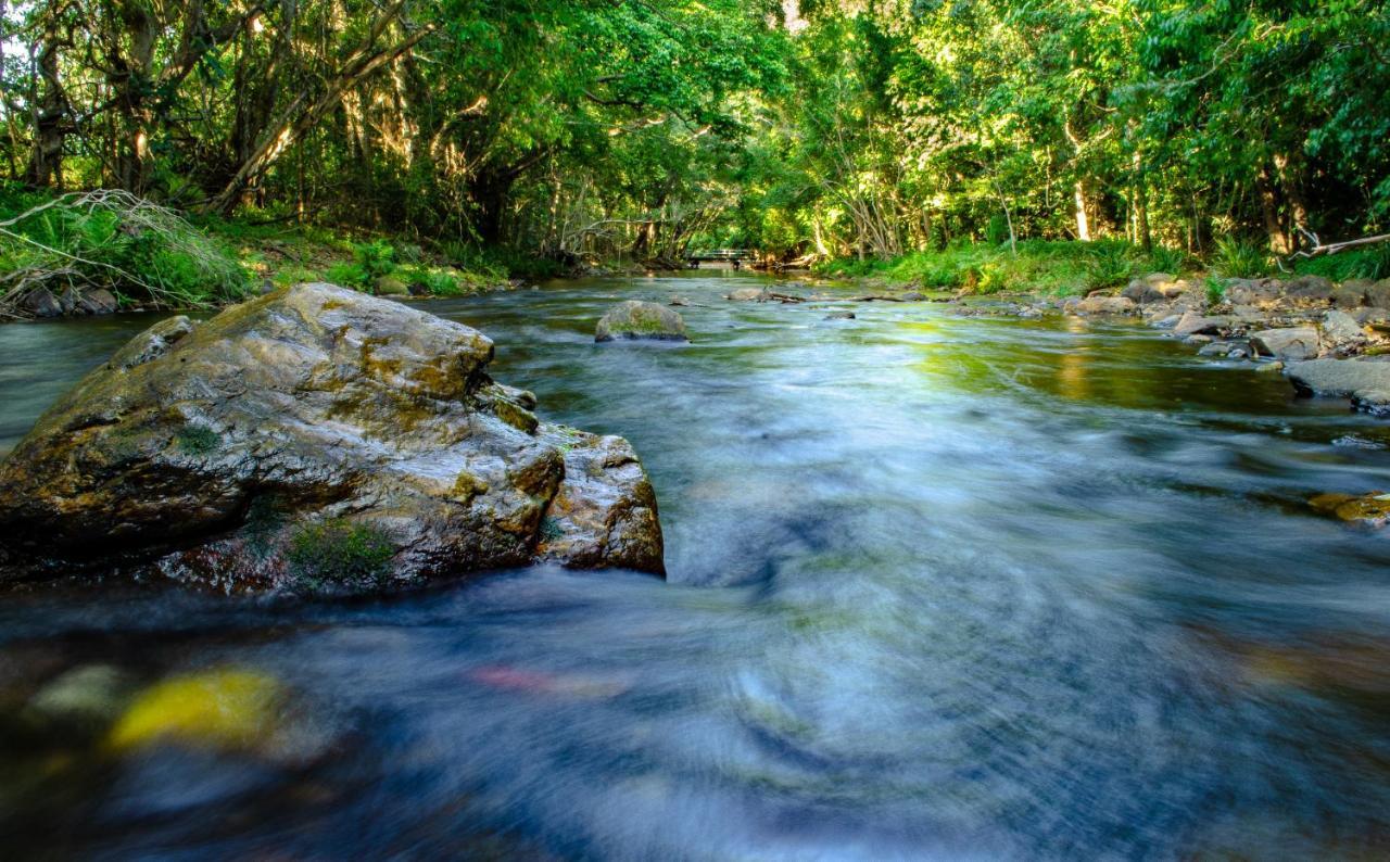 Cairns Homestead Redlynch Pet And Family Friendly Esterno foto