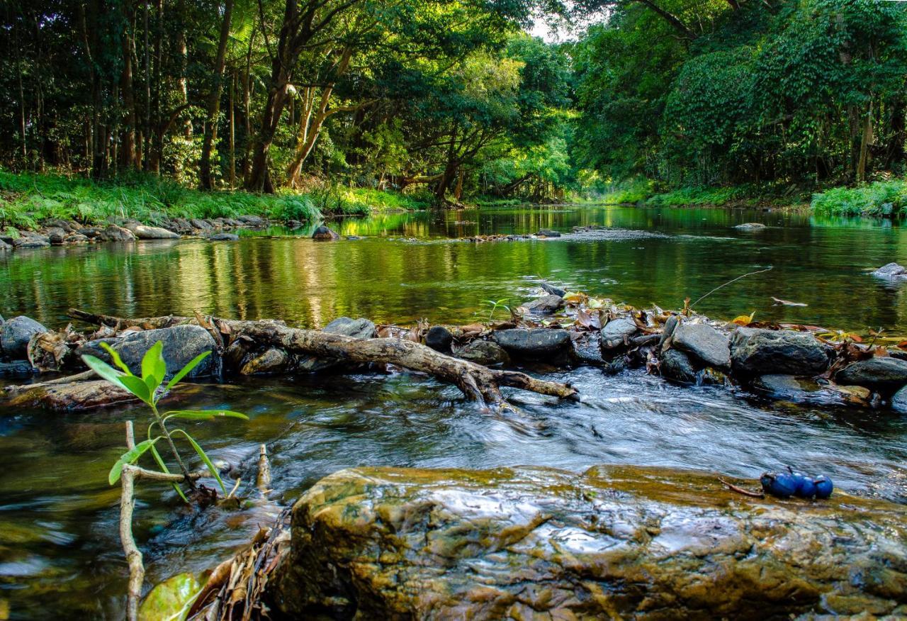 Cairns Homestead Redlynch Pet And Family Friendly Esterno foto